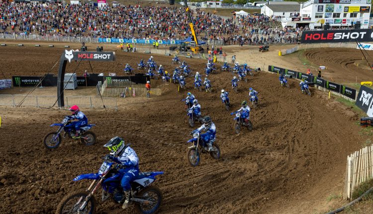 52299506597 57675d8e6d k